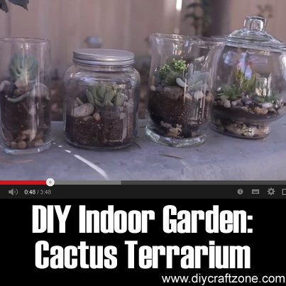 DIY Indoor Garden - Cactus Terrarium